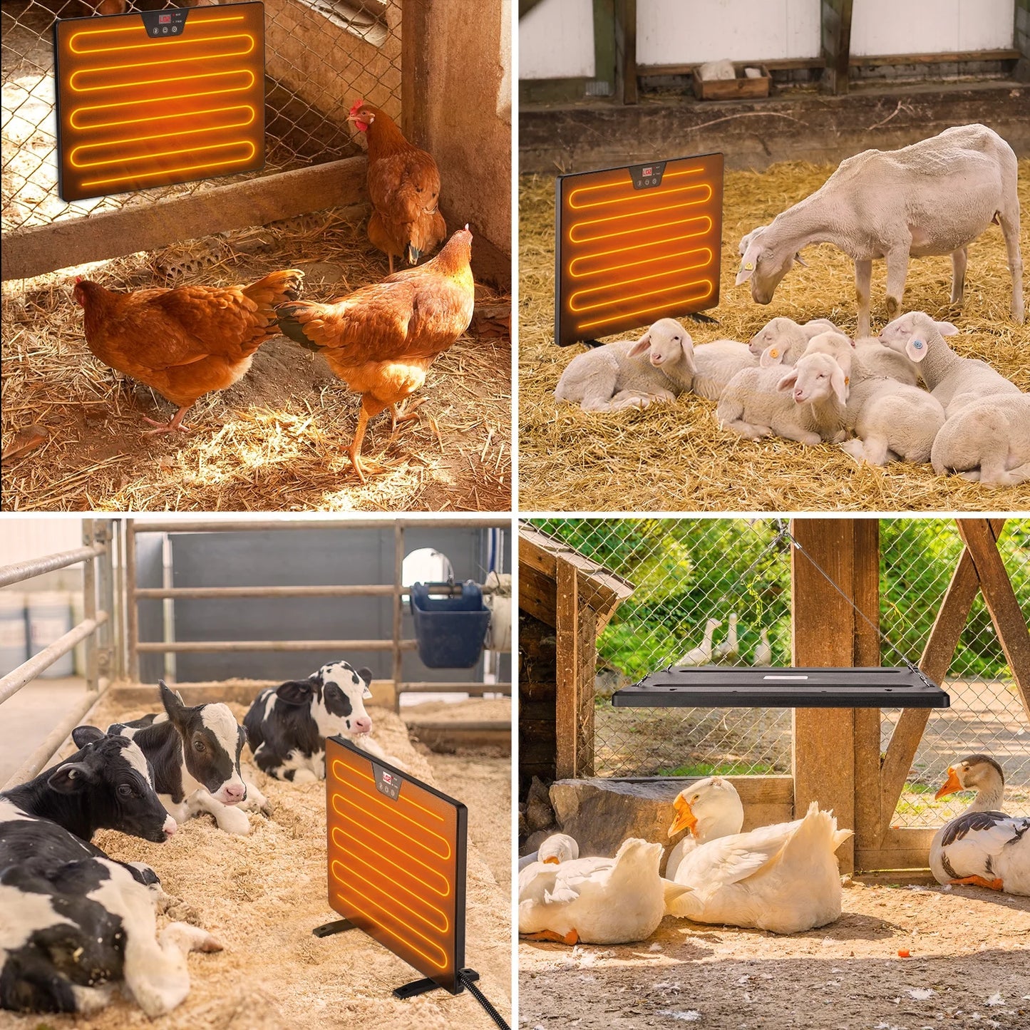 Chicken Coop Heater, 100/200 Watts Radiant Heat Energy Efficient Design, Safer than Brooder Lamps Heater for Chicken Coop Outdoor 3 Ways to Use