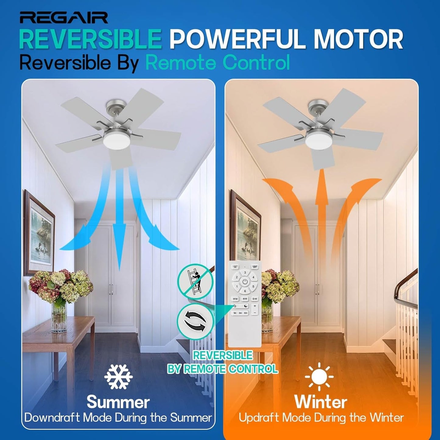 Ceiling Fan 32 Inch, Remote Control DC Motors, 3CCT 3000K-4000K-6500K